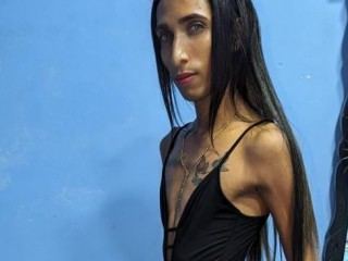 shaira_xxx Profilbild des Cam-Modells 