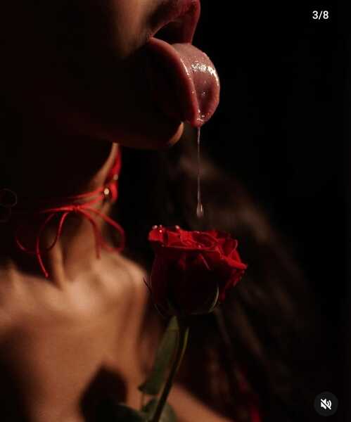 Artist tntsquirrttx Foto 4