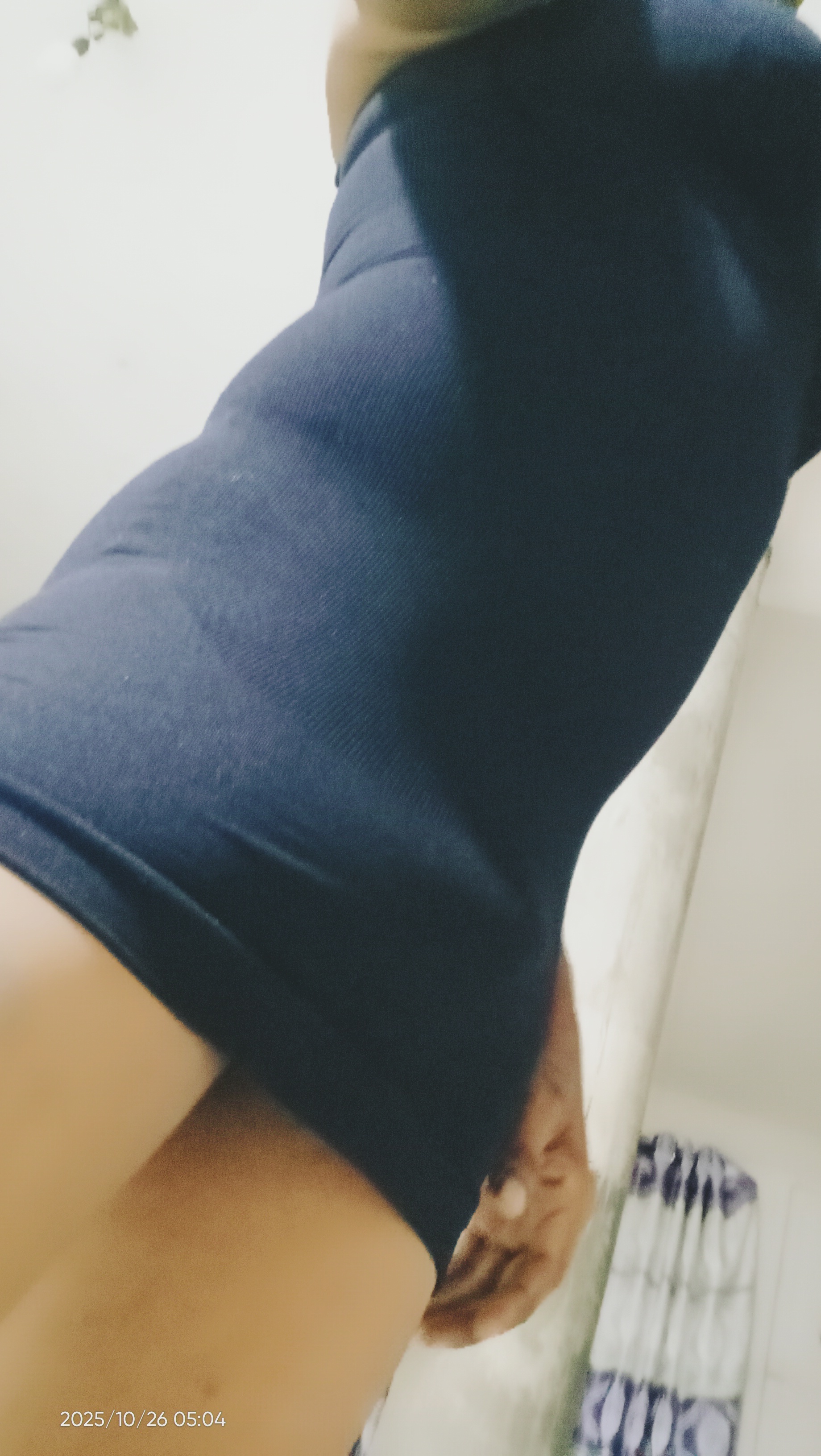 Interprète Hamstertools Photo 1