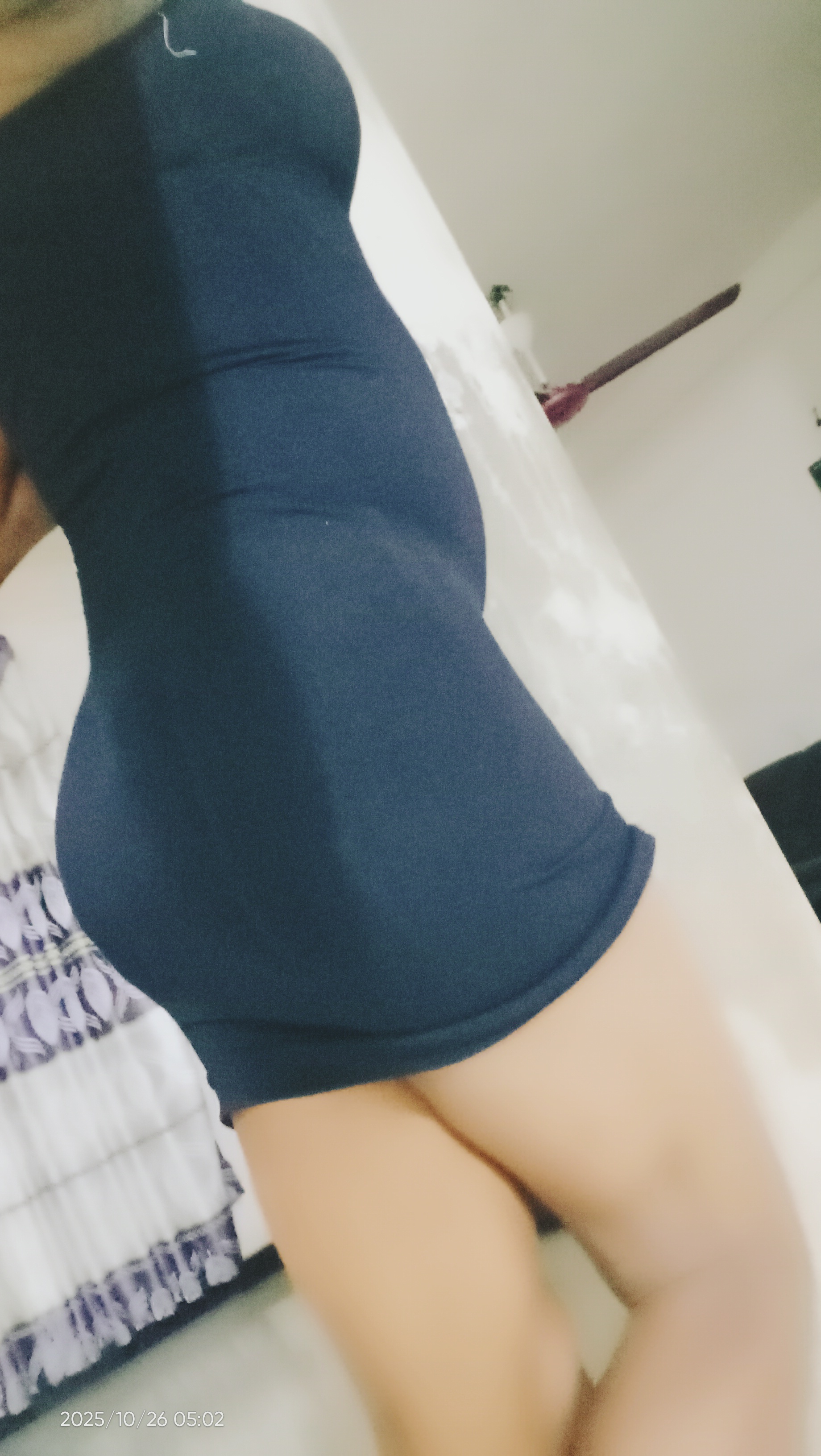 Interprète Hamstertools Photo 3