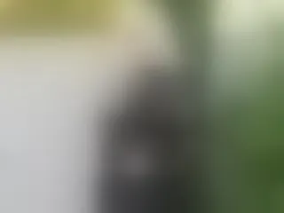 ValleryVixen immagine del profilo del modello di cam