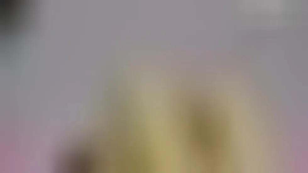 Artiest InesFeliz Video 1