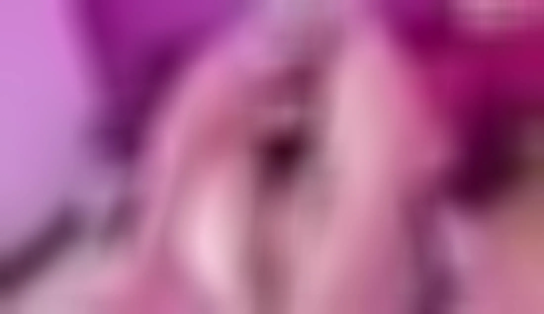 Utøver dioneaokii Video 1