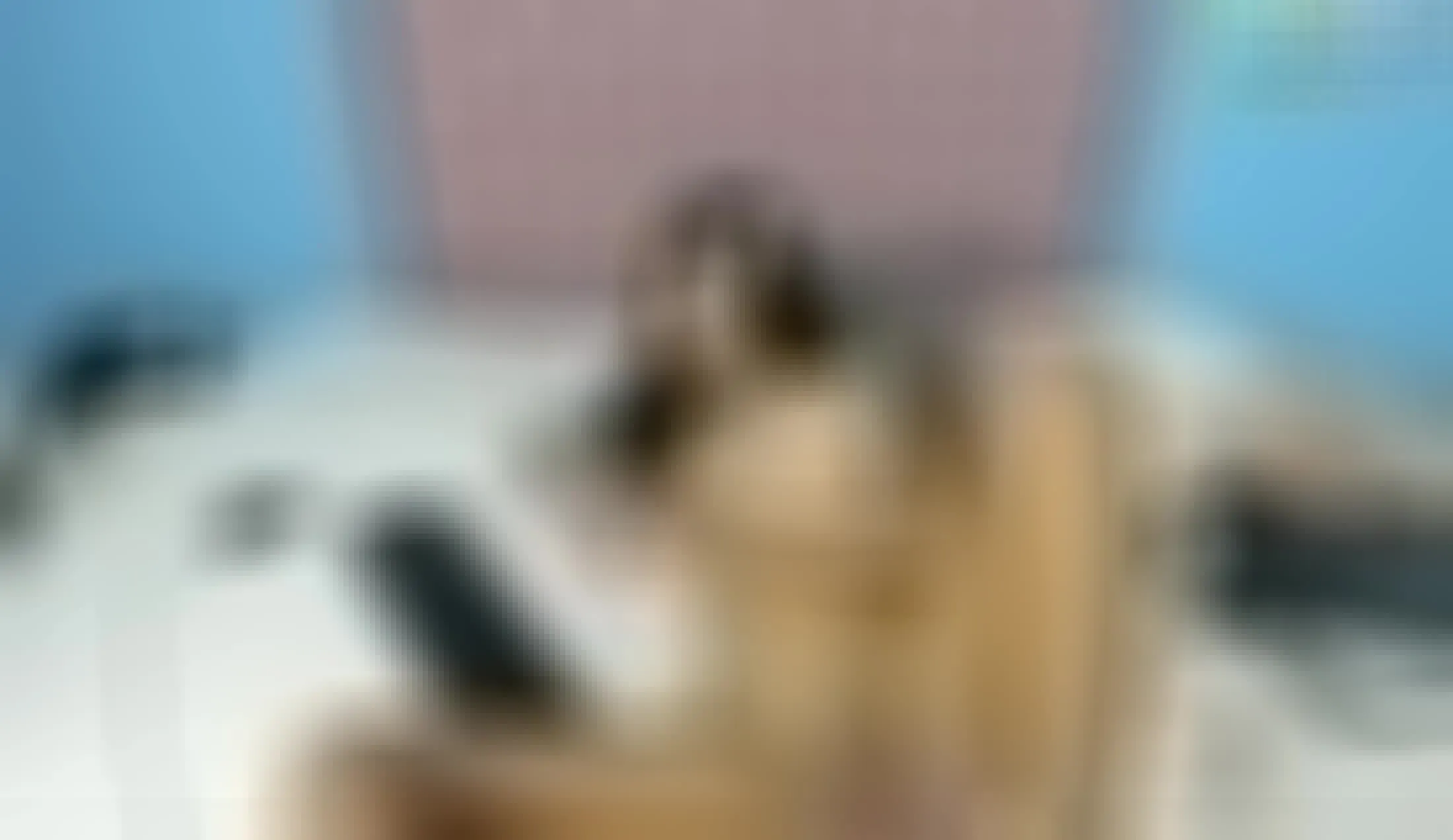 Utøver Valeriahorny019 Video 1