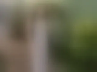 Imagen de perfil de modelo de cámara web de LyaMelly19