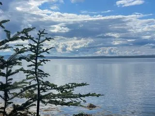 Imagen de perfil de modelo de cámara web de Juniperplay