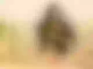 Alaia_xue immagine del profilo del modello di cam