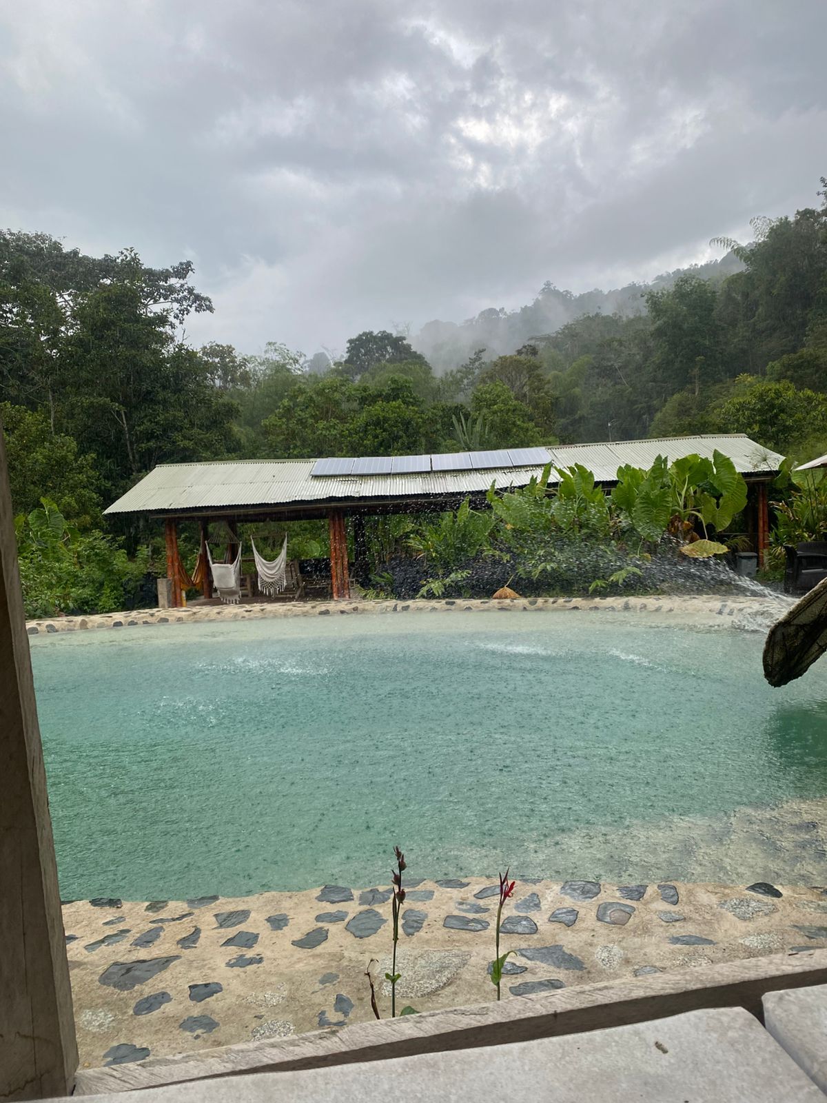 Interprete HelenaSwani Foto 12