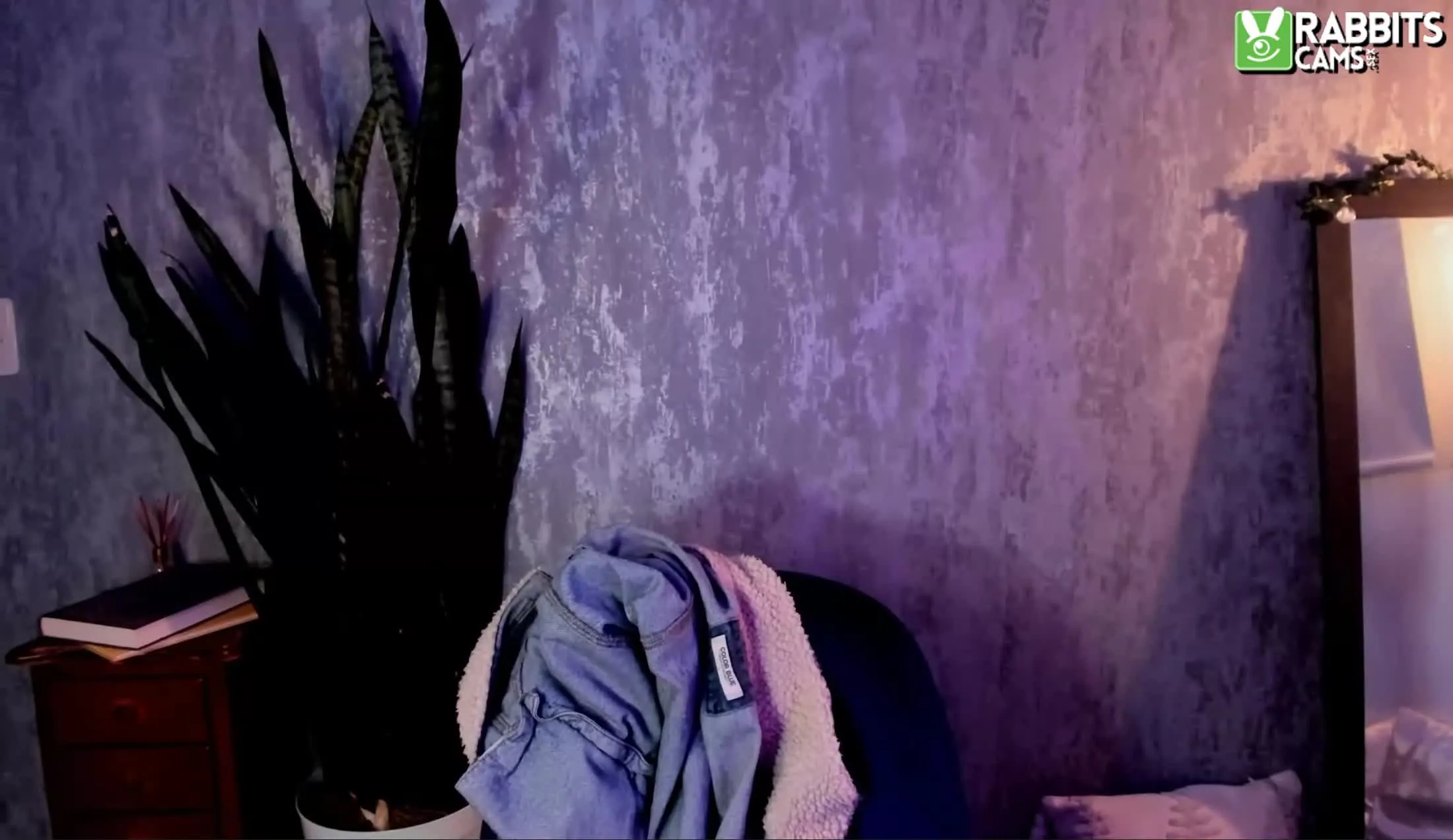 Artista SophEvans Video 1