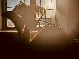 KatieCarterX cam model profile picture