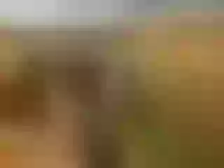 CandyCaneTest18 Profilbild des Cam-Modells