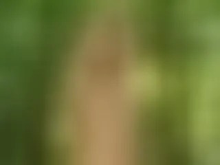 NattyPierce