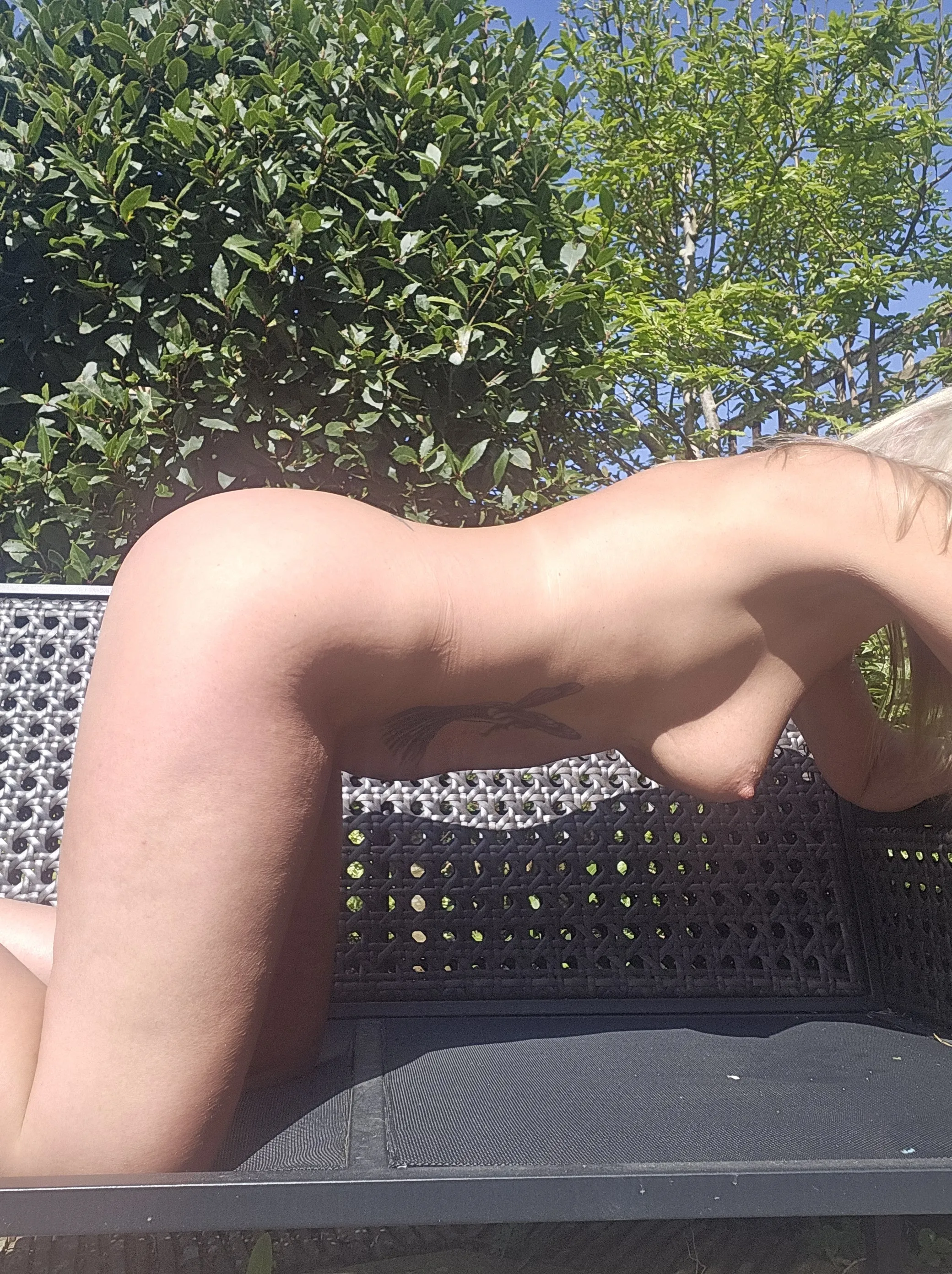 Interprete Stargazer1966 Foto 11