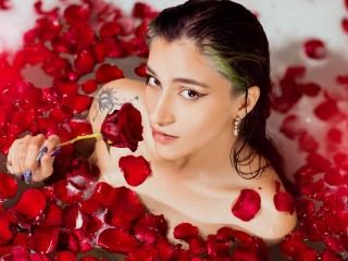 Foto de perfil de modelo de webcam de HalseyBroocks