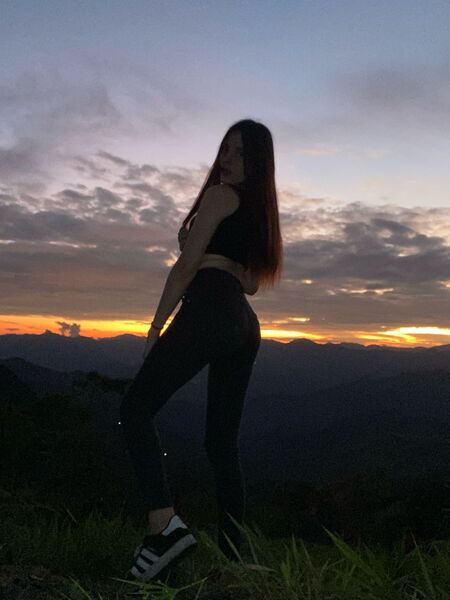 Interprete blueviolette Foto 6