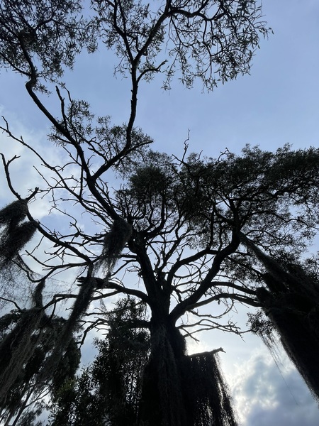 Utøver Hannegreen Bilde 5