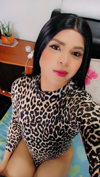 Artiest TRANSRASHEL Foto 4