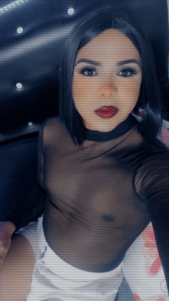 Artiest TRANSRASHEL Foto 5