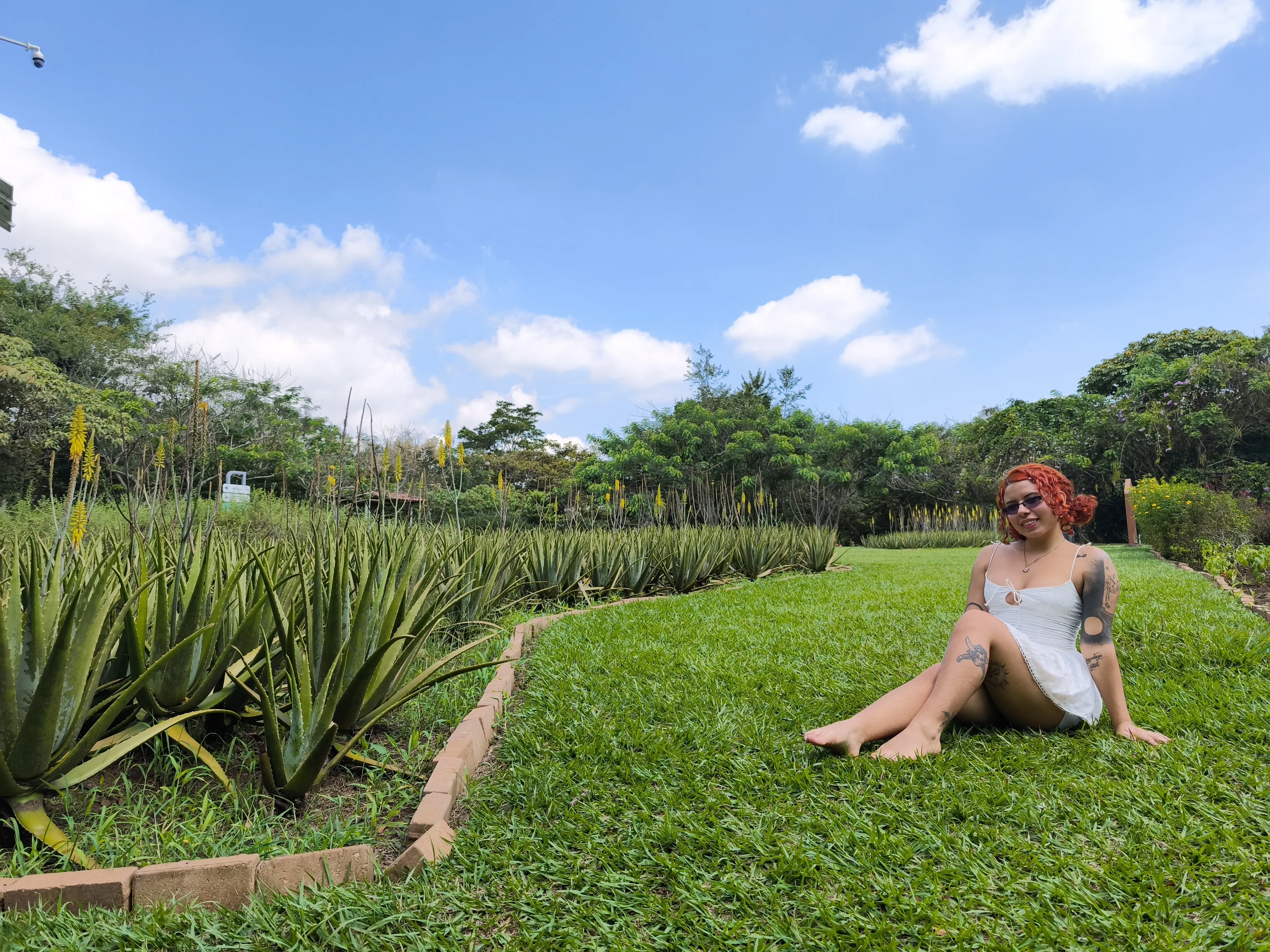 Interprète Alicia1407 Photo 6