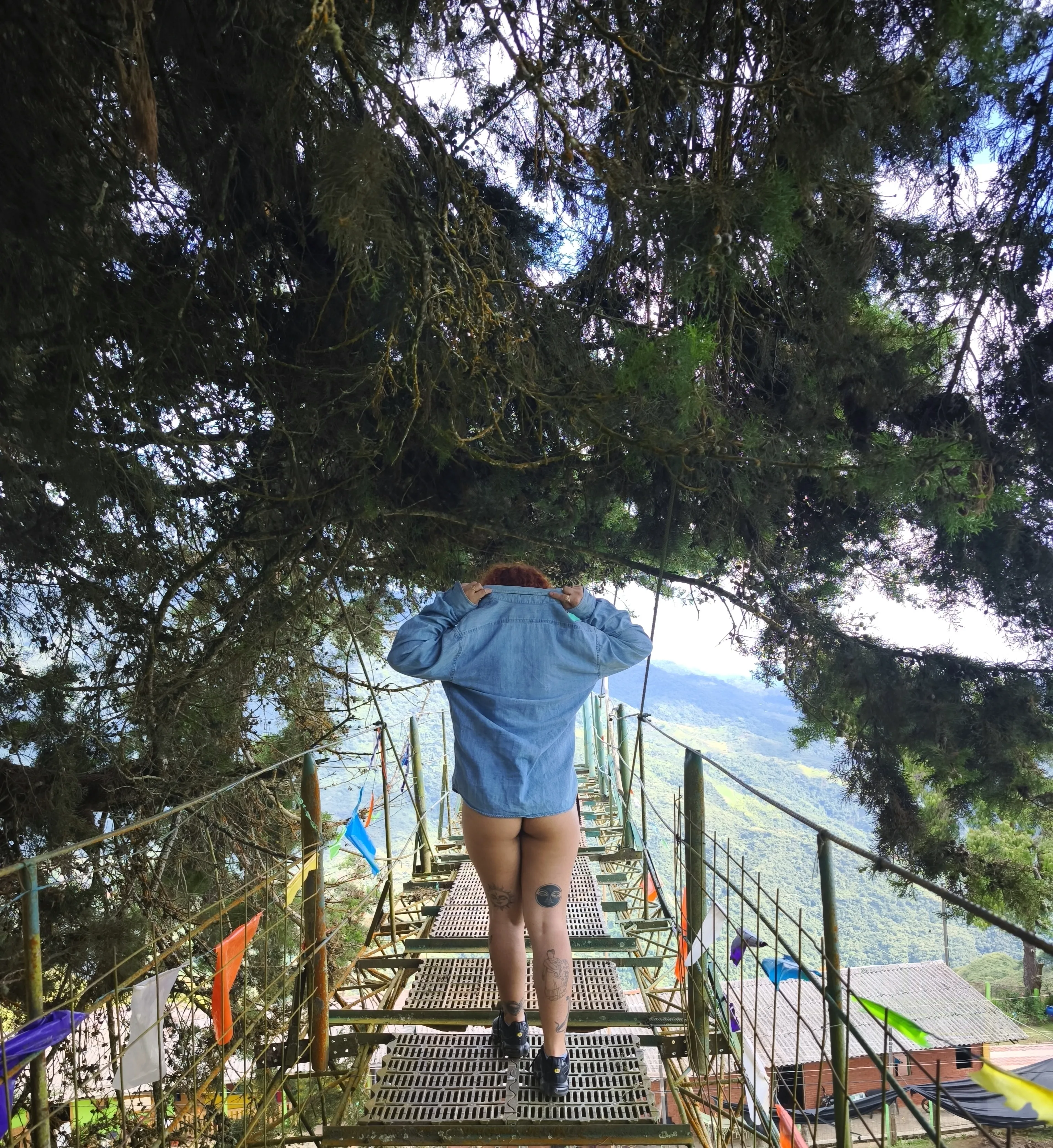 Interprète Alicia1407 Photo 4