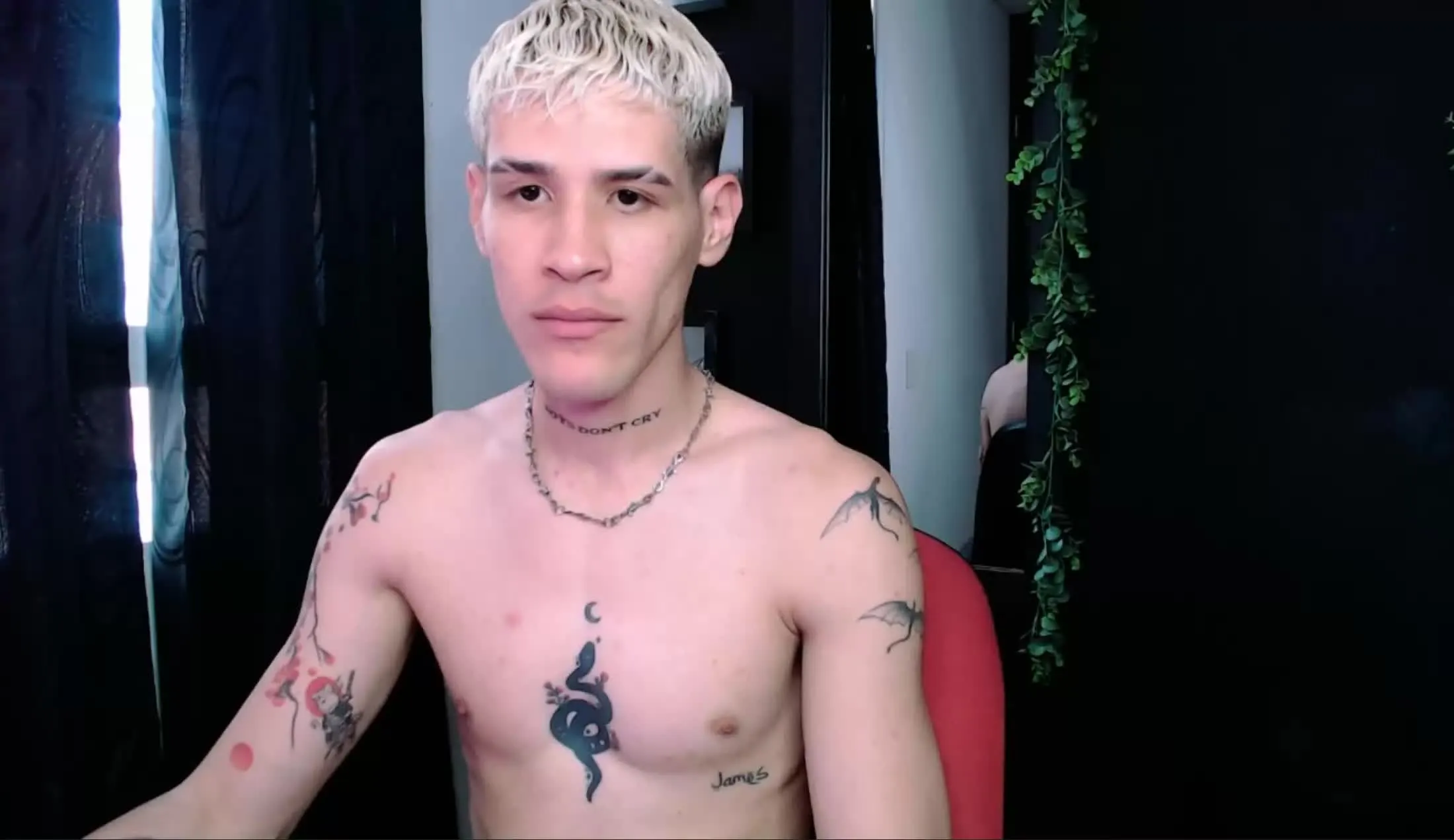 Intérprete andybxby Video 1