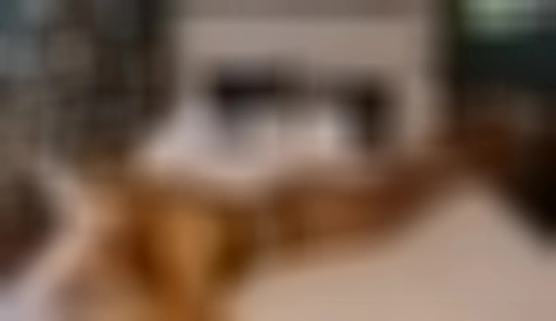 Interprète Ivy_RoseXo Vidéo 1