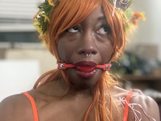 SilStSilk cam model profile picture