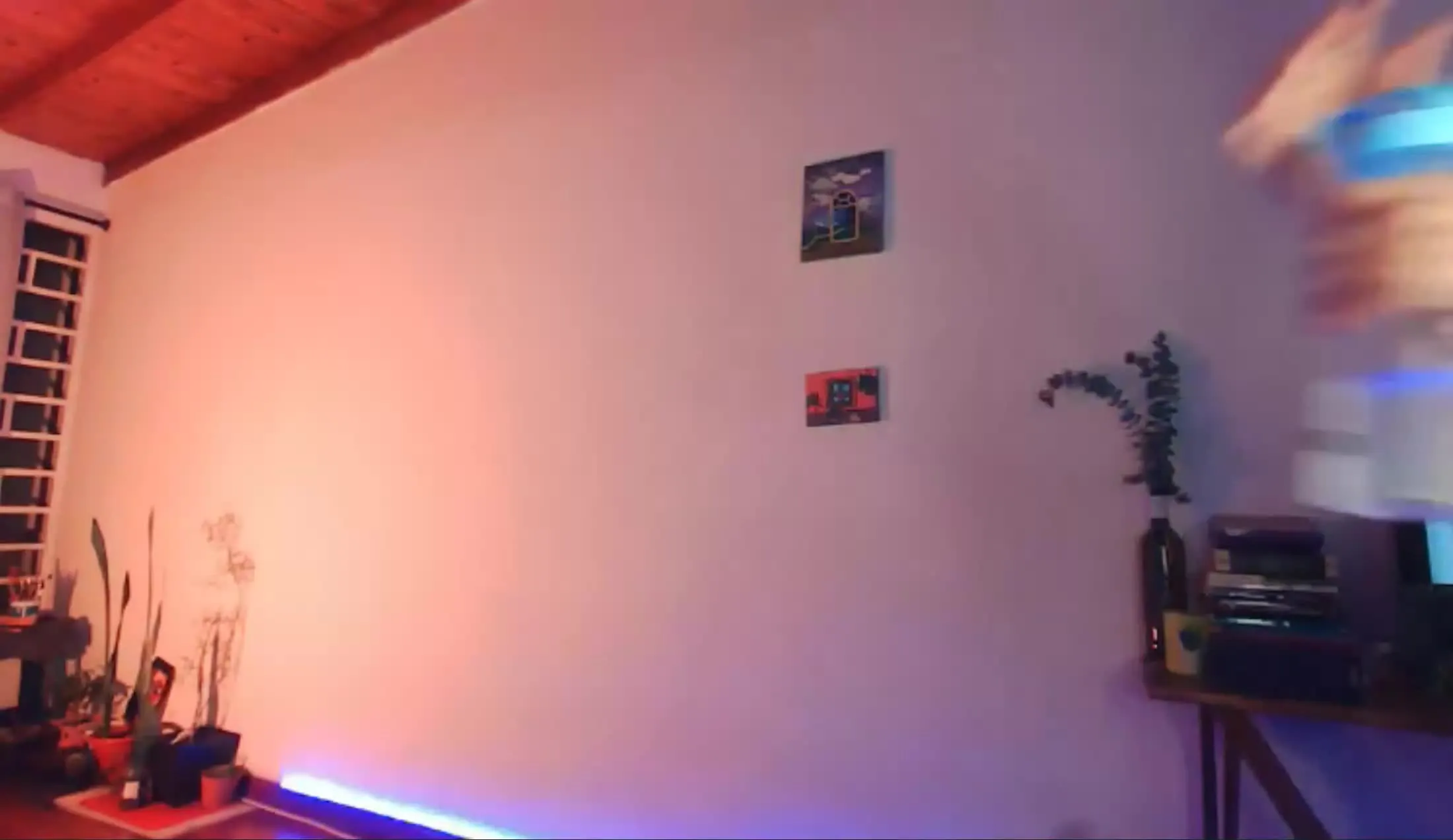 Intérprete callmebluee Video 2