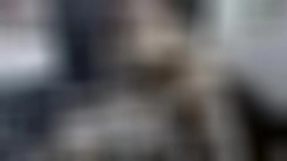 Interprete Kiharadoll18 Video 1