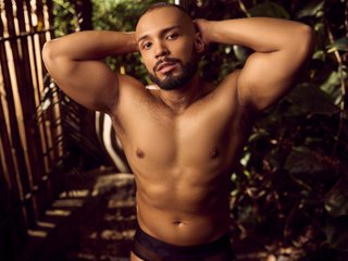 Foto de perfil de modelo de webcam de LionFerrer 