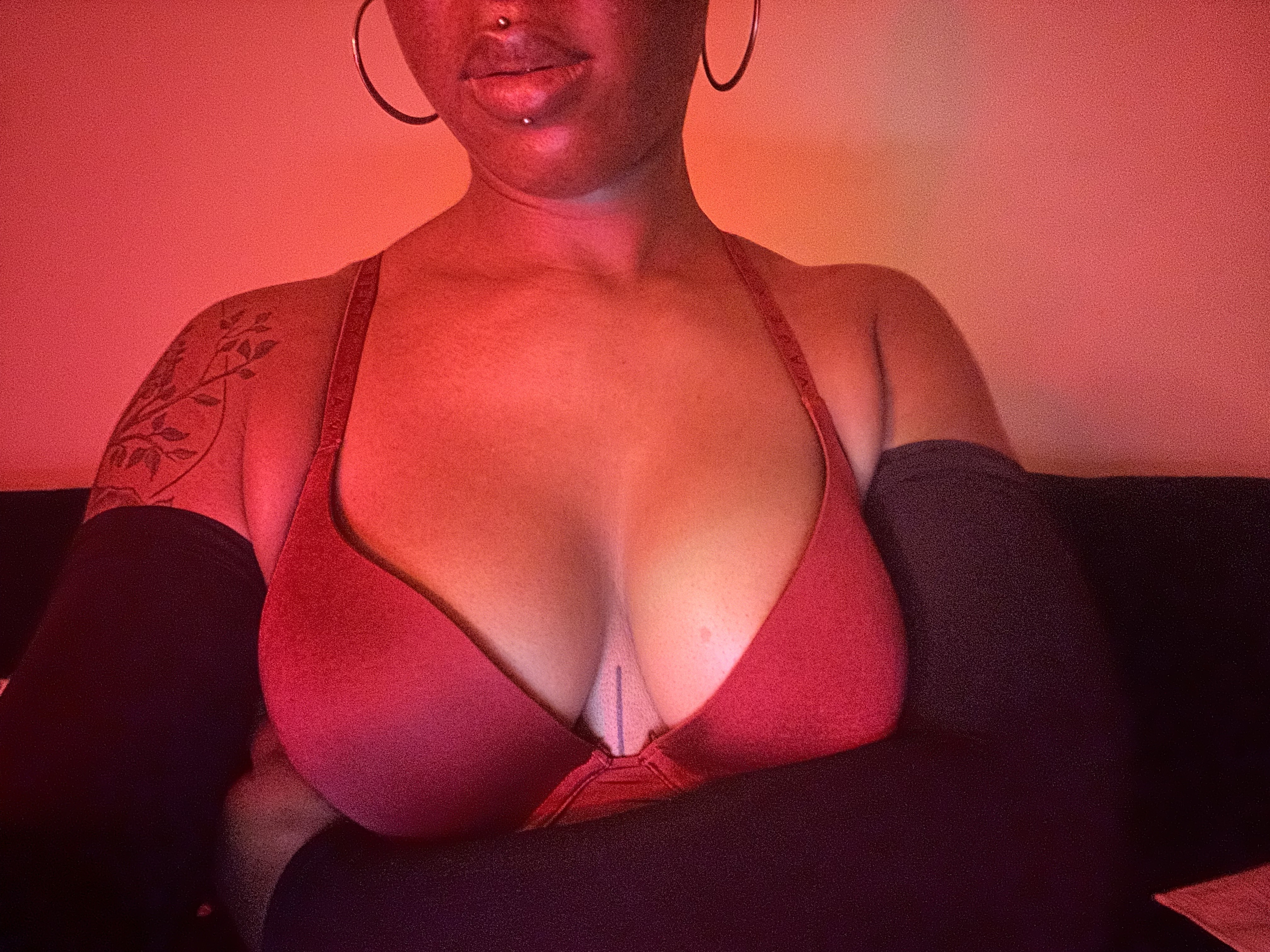 Interprete poleheathen Foto 5