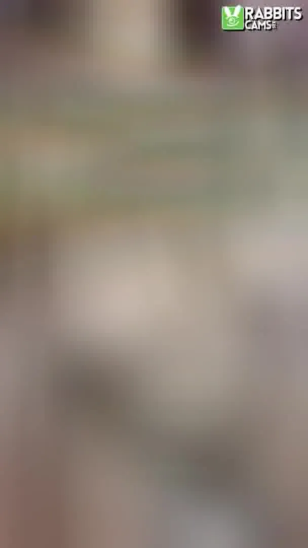 Interprete AlisonReey Video 4