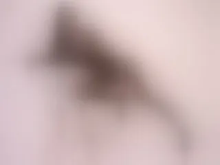 HannaLewis immagine del profilo del modello di cam
