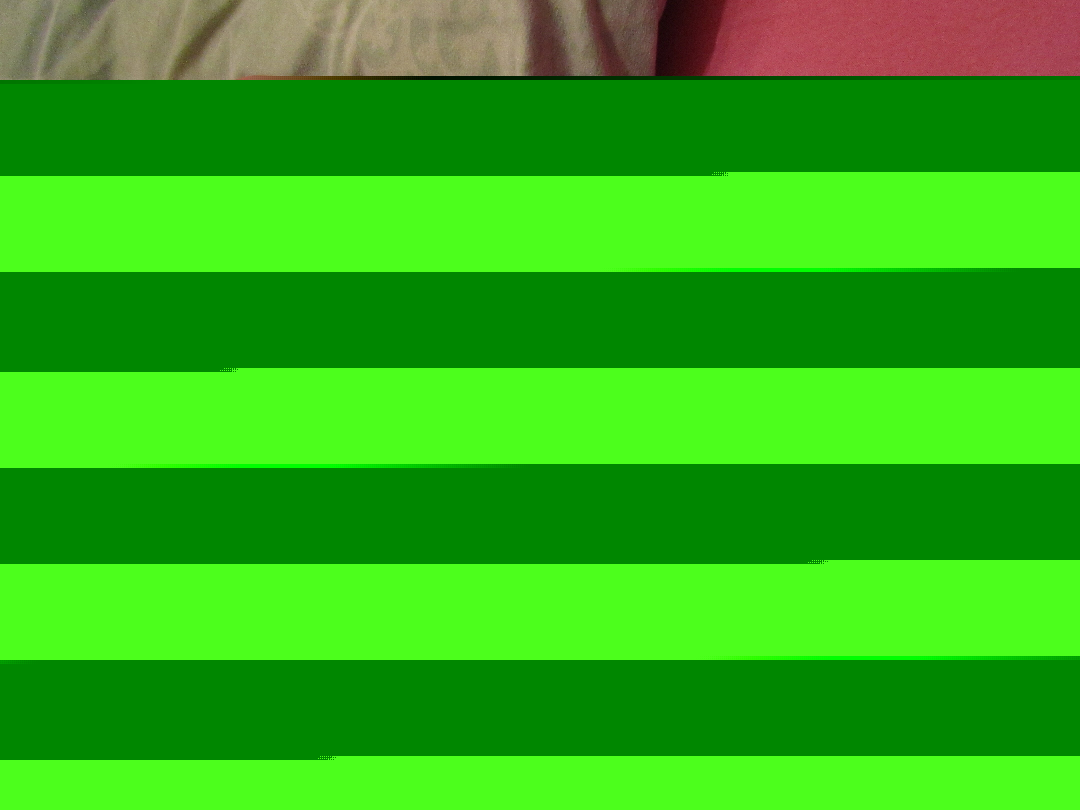 Utøver NikkiHollandXXX Bilde 1