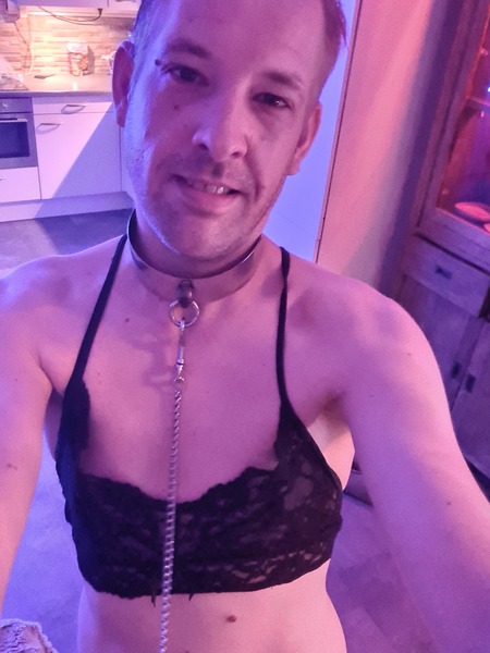 Intérprete BottomTVDAVE Foto 4