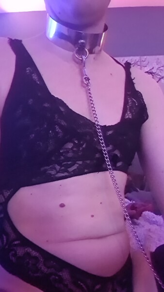 Intérprete BottomTVDAVE Foto 2