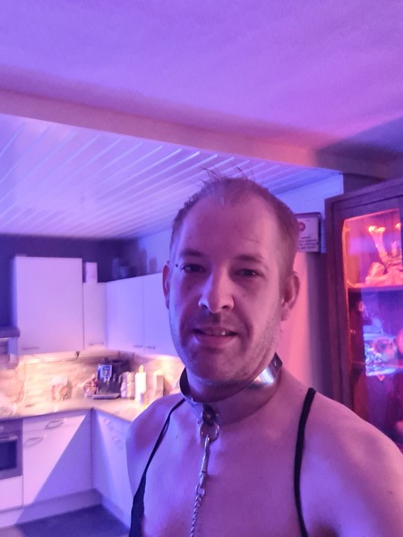 Intérprete BottomTVDAVE Foto 3