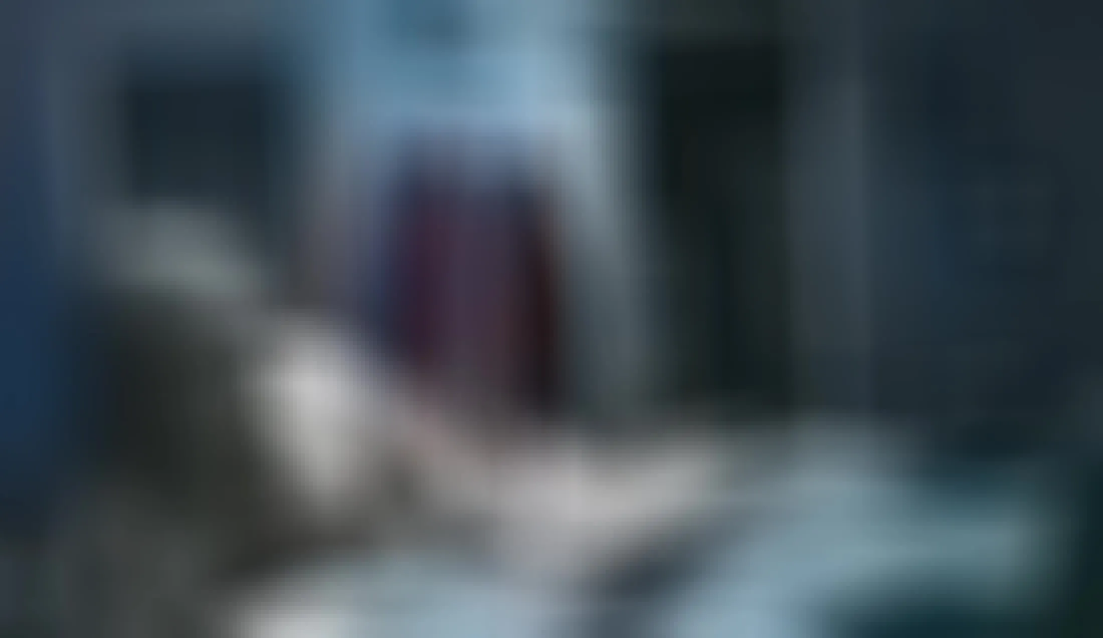 Artista Vera_Vindahis Video 1