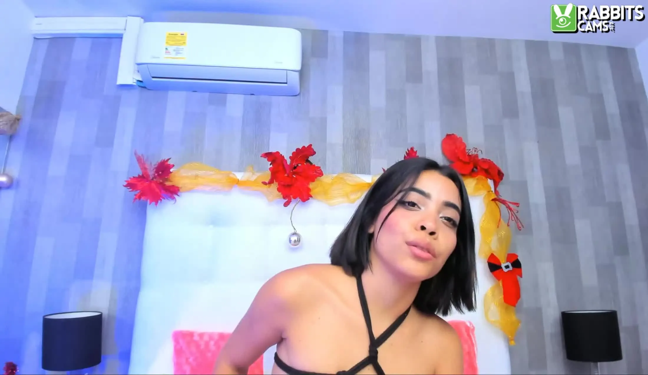 Artist SaraSchmit Video 1