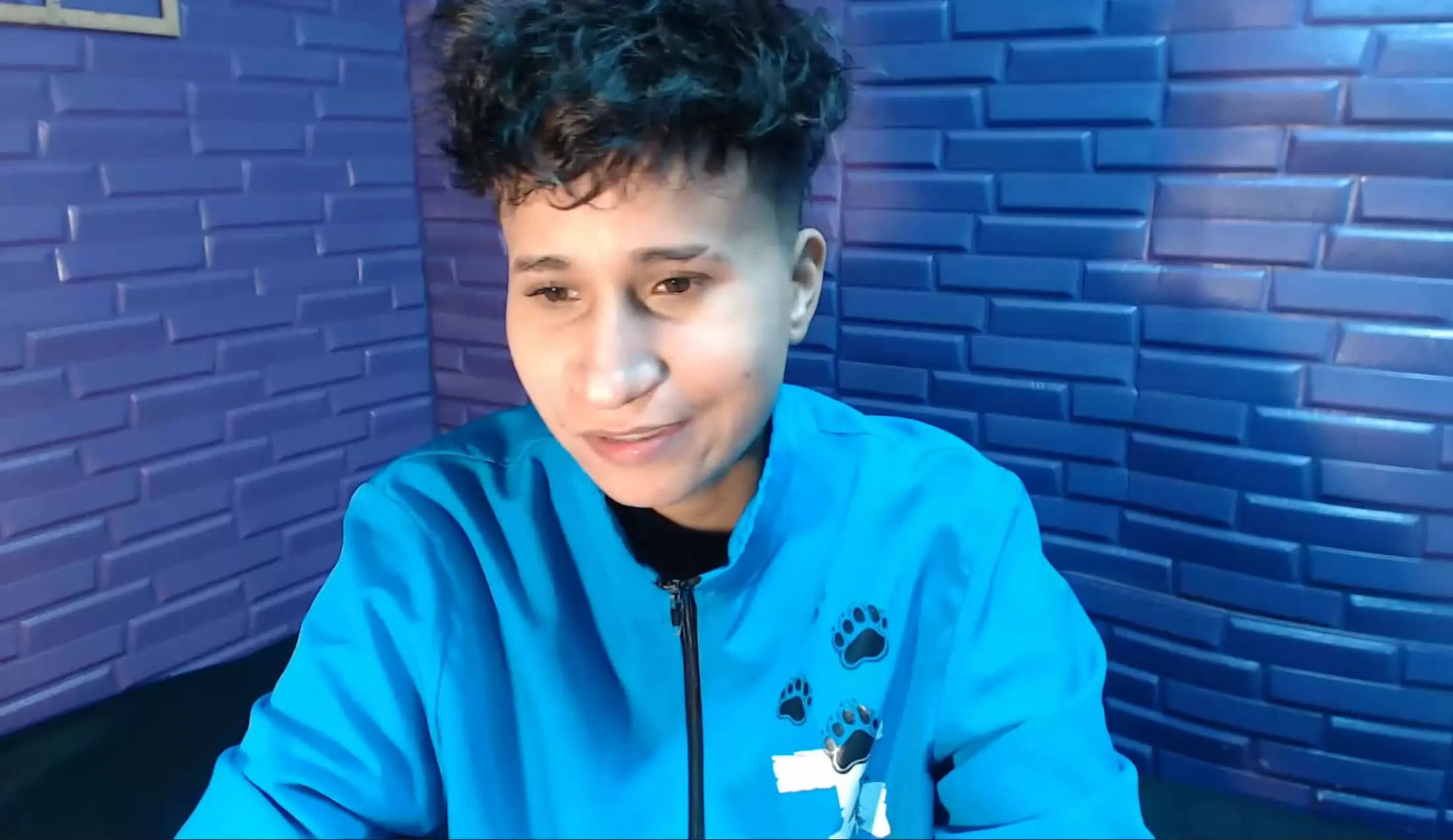 Artist MilanRs Video 2