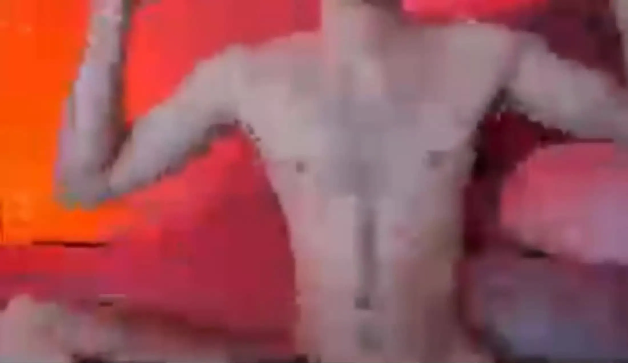 Artiest PoollParty Video 2