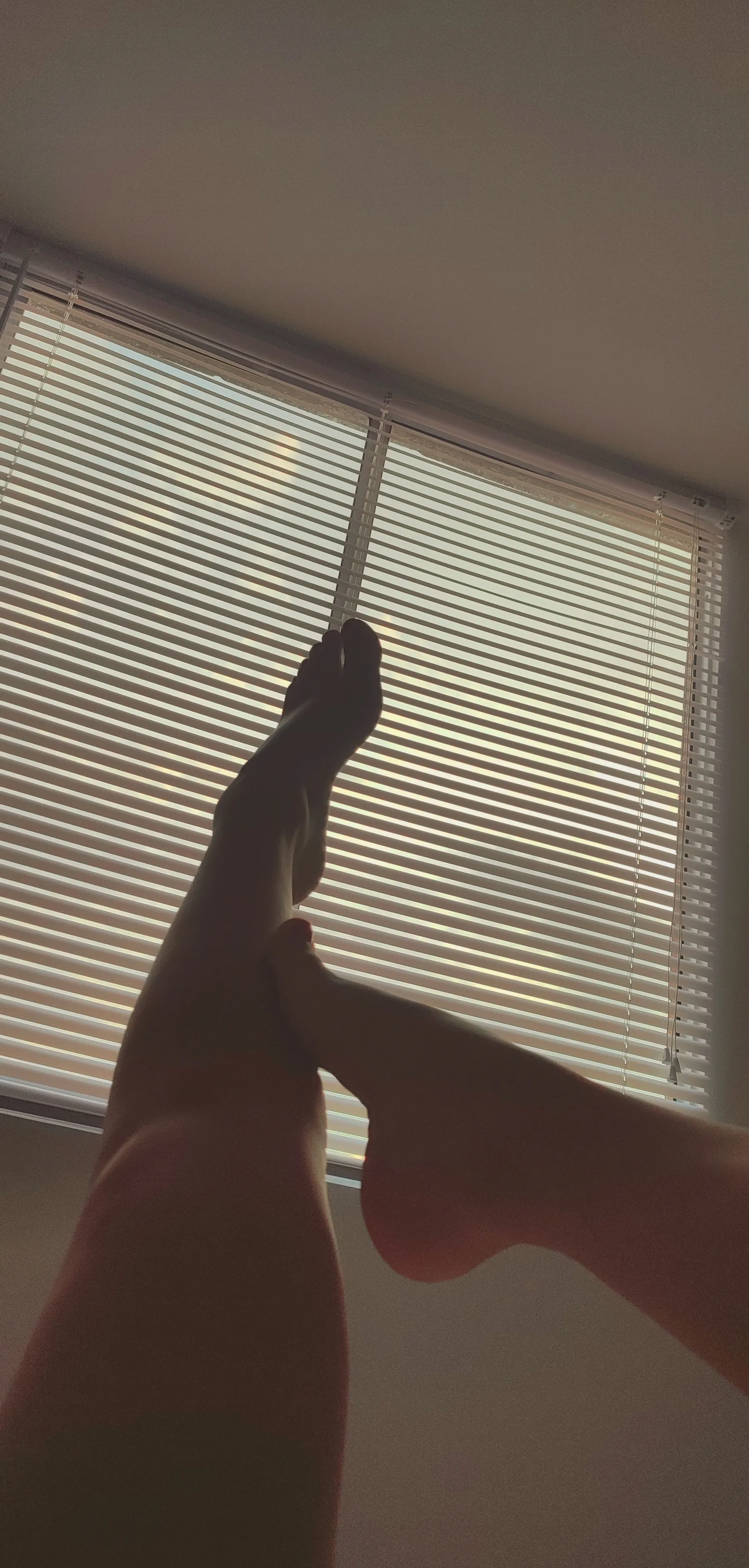 Interprète sharonscarllet Photo 1