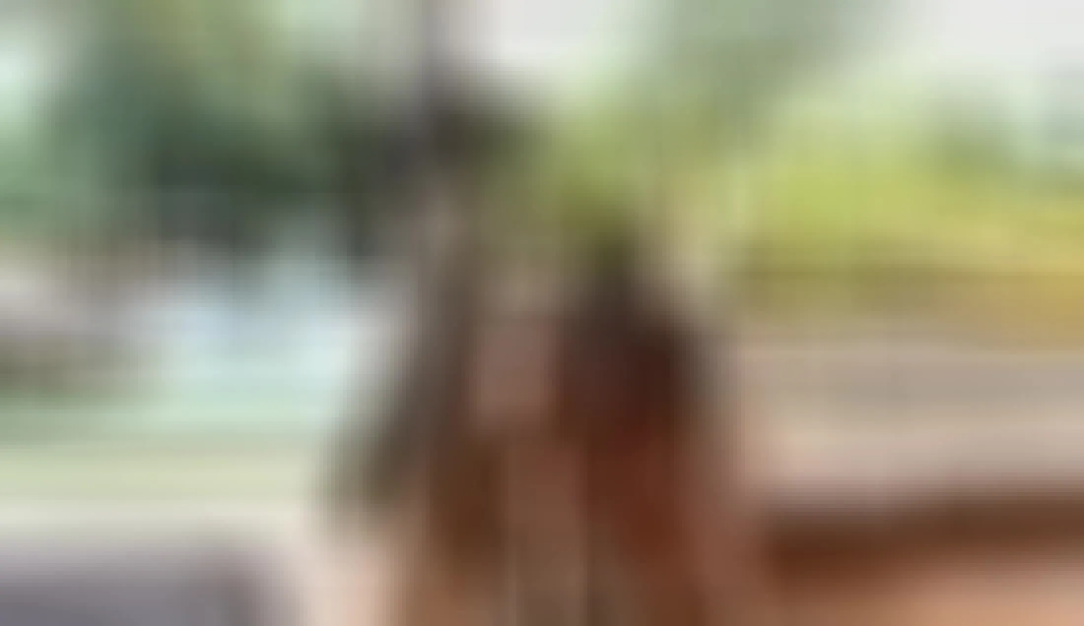 Artista GGIsland Video 1