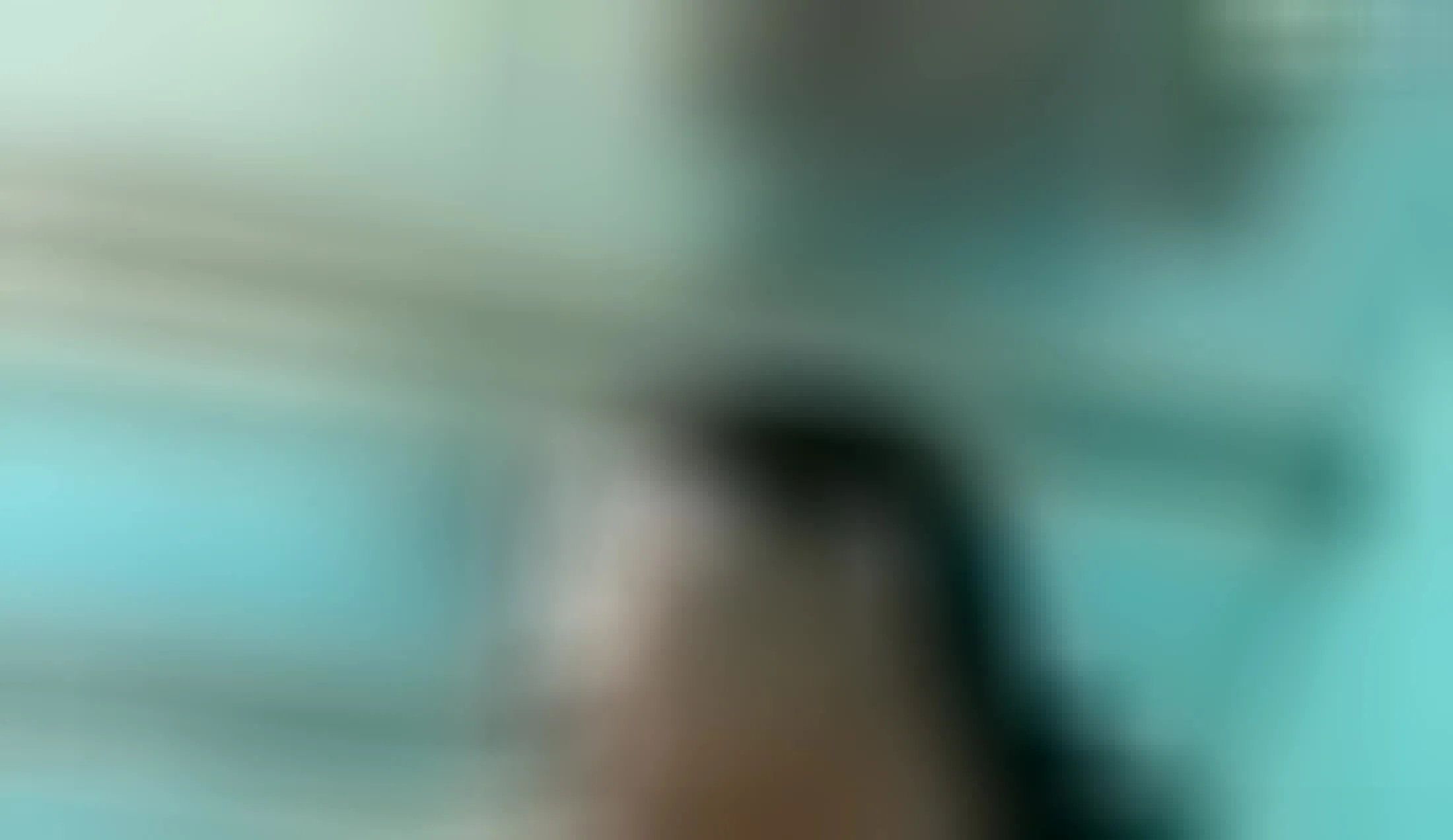 Interprète Bae74 Vidéo 1