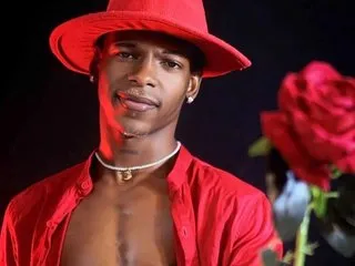 HeitanBrown cam model profile picture