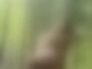 Image de profil du modèle de webcam spicy_persephone