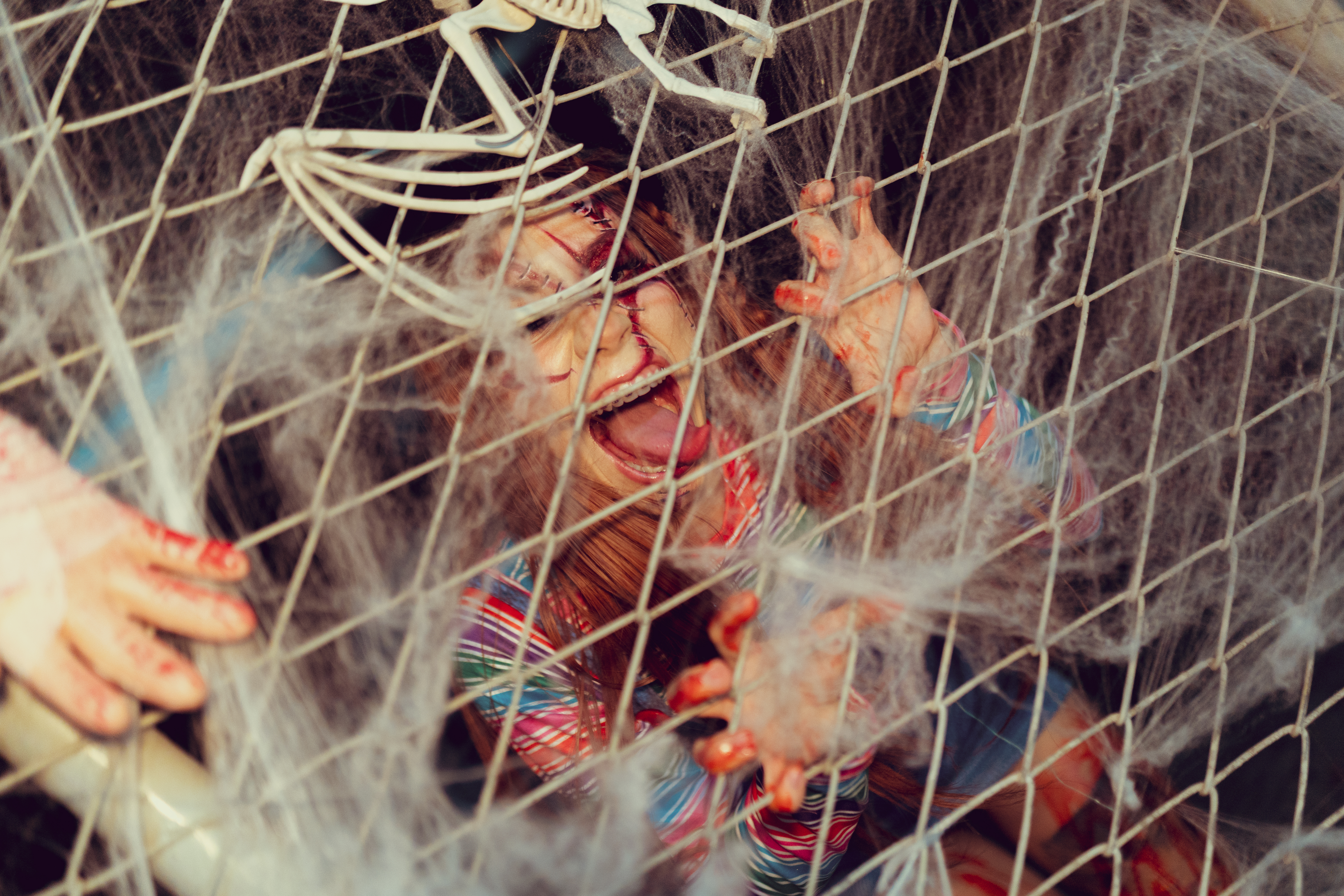 Interprète AbyCoper Photo 2