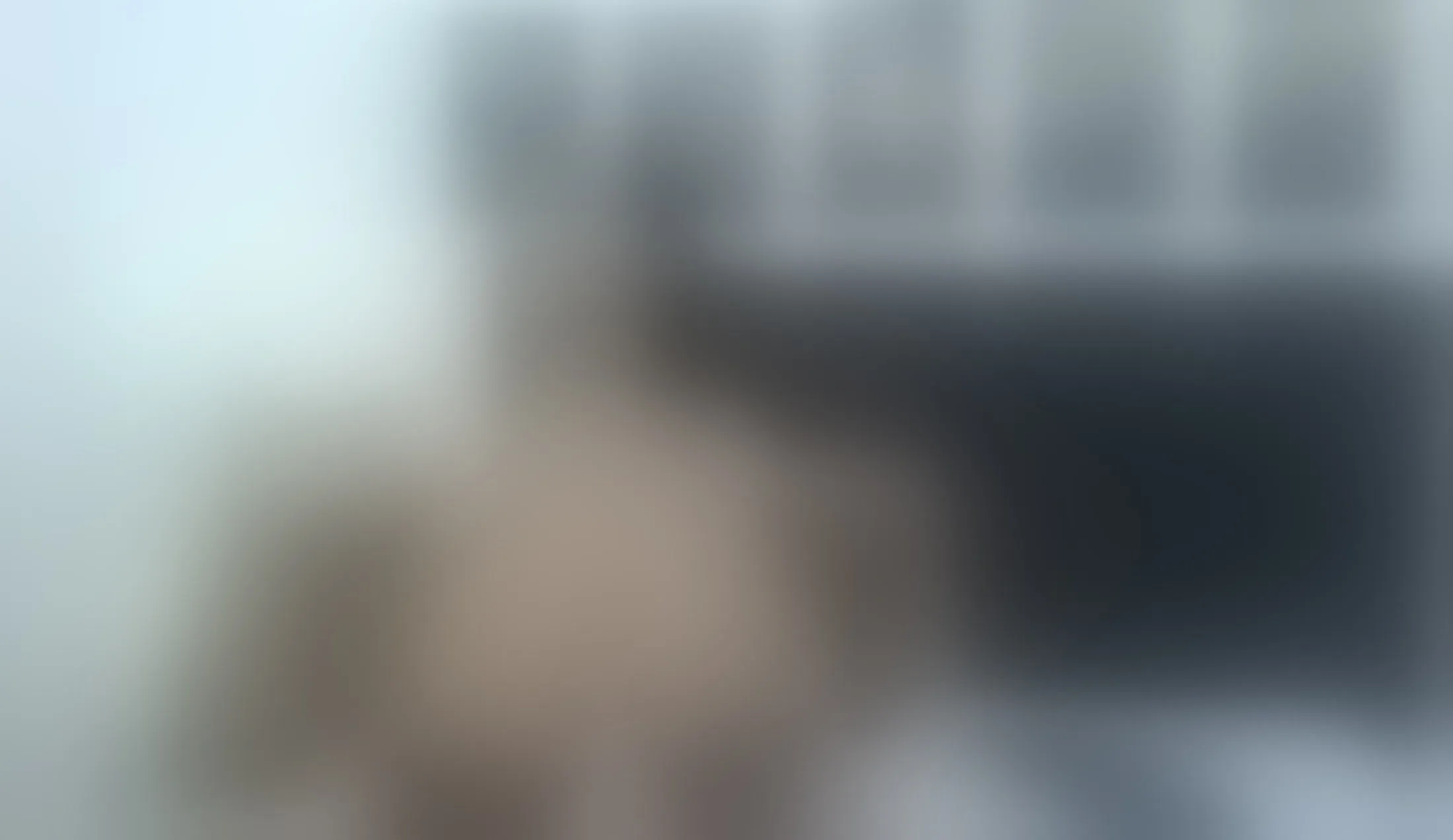 Interprète Amarantha_Shawns Vidéo 1