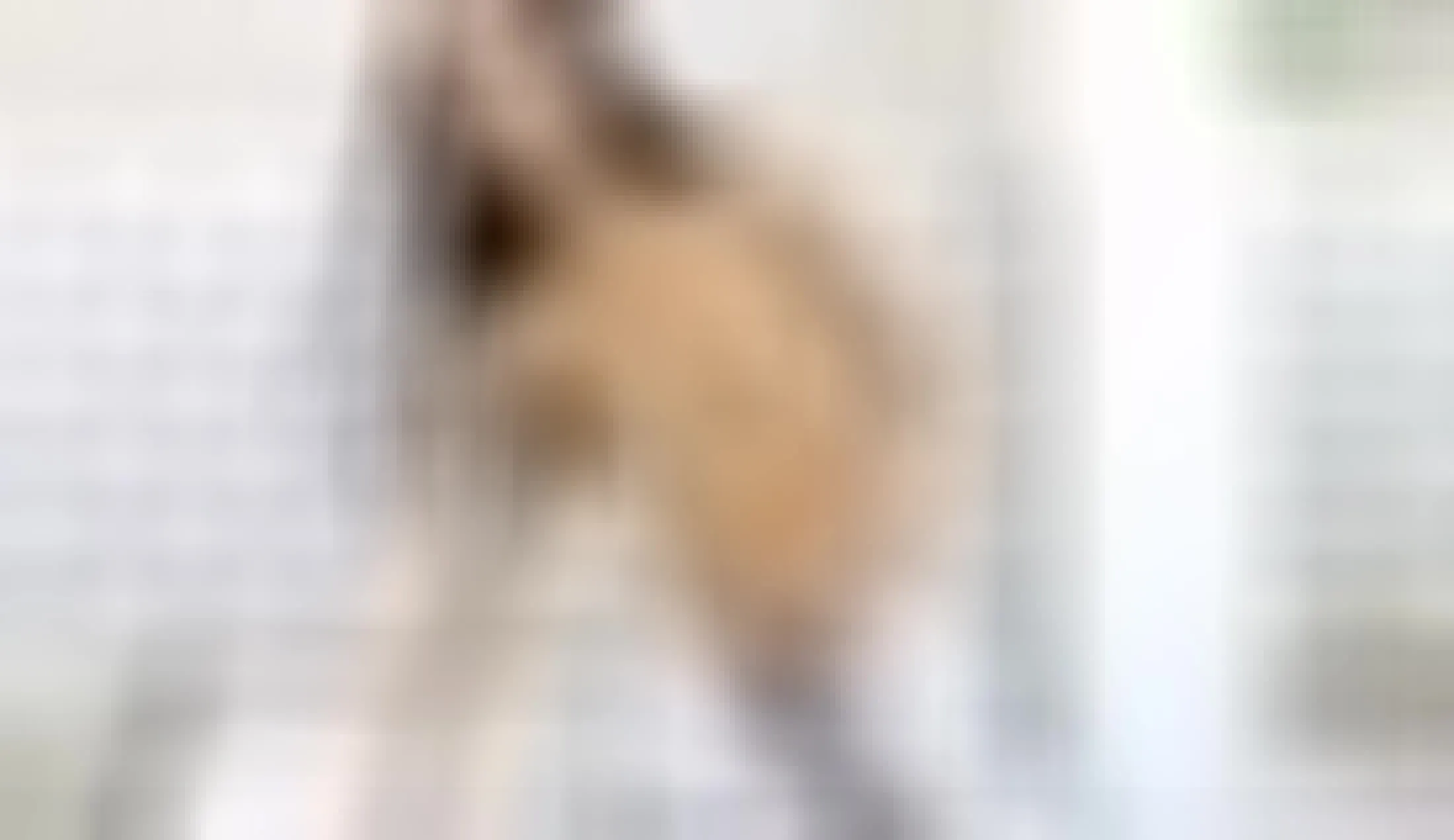 Interprète ChantalHans Vidéo 1