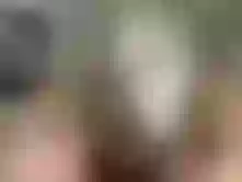 LeiLeilove immagine del profilo del modello di cam